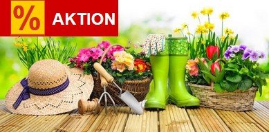 Sichere dir Rabatte bis zu 50 %!
