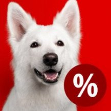 Angebote für Hunde