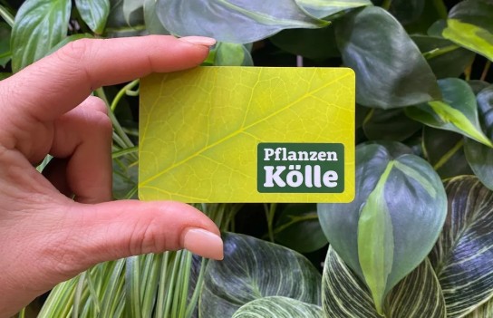 Mit der Kundenkarte Punkte sammeln & sparen