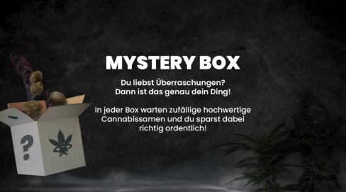 Möchtest du neue Cannabis-Genetiken entdecken und dabei sparen? 